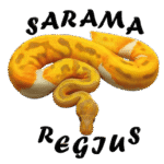 whatsapp image 2025 11 11 at 9.20.14 am