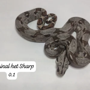 0.1 nominal het Sharp